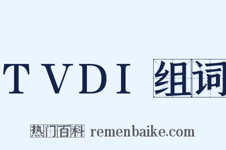 TVDI组词是什么意思的图片